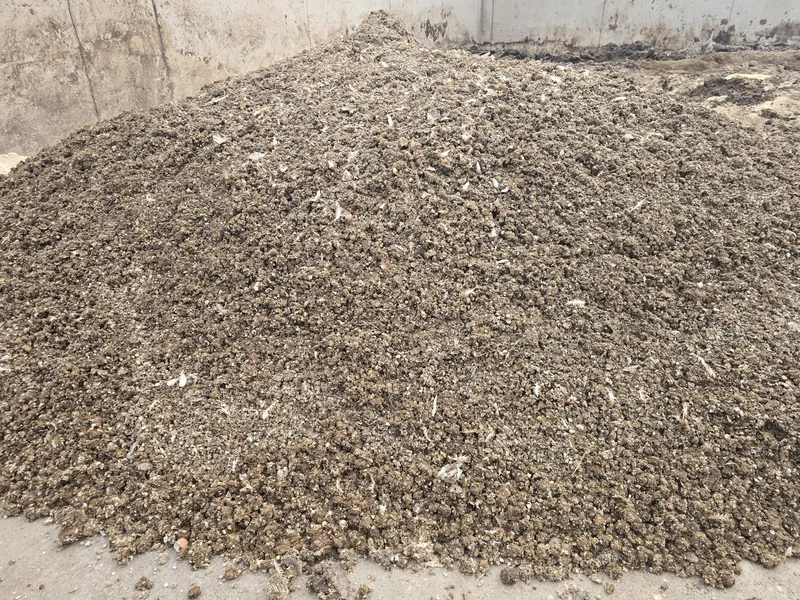 Drying layer manure at source: the first 48 hours